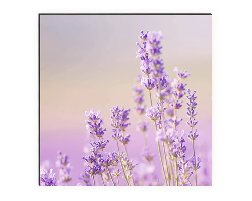 Dekorative Wandkunst mit Lavendelmotiv für Innenräume