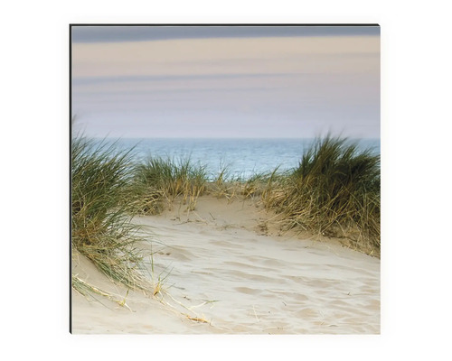 Wandbild mit einem Motiv einer Sanddüne und Gras am Strand