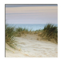 Dekobild mit Sanddüne und Meerblick