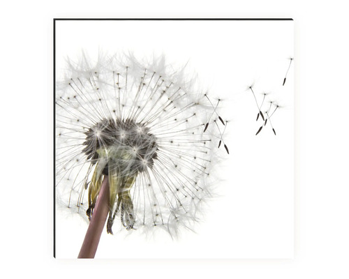 Dekoratives Wandbild mit Pusteblume im Detail