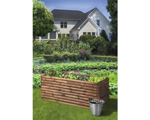 Jardinière surélevée en bois dans le jardin avec des légumes et des accessoires de jardinage