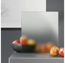 ZT Eiche Rustic Furnier Aufrecht 61x198,5 DIN Links MODERN 08 Glas Satiniert