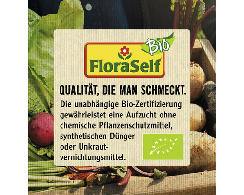 Bio Sommerapfel FloraSelf Bio Malus domestica \'Weißer Klarapfel\' H 120-150  cm Co 7,5 L - HORNBACH Luxemburg
