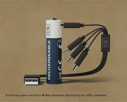 Wiederaufladbare Batterie mit USB-Ladekabel