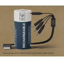 Lumak Pro D Lithium-Ionen Akku mit USB Ladekabel zum gleichzeitigen Laden von bis zu vier Akkus