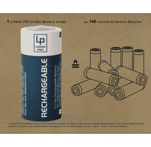 LUMAK PRO D Akku-Batterie ersetzt circa 140 normale D Alkali-Batterien.