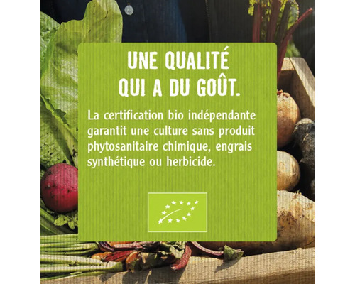 La certification bio garantit une culture sans produits phytosanitaires chimiques, engrais synthétiques ou herbicides.