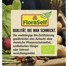 Bio Buschbohne FloraSelfBio samenfestes Saatgut Gemüsesamen-thumb-2