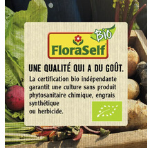 Mâche bio 'Vit' FloraSelf Bio semences non-hybrides semences de salade-thumb-2