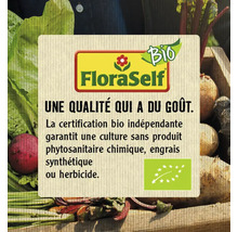 Aneth bio annuel FloraSelf Bio semences non-hybrides semences de fines herbes-thumb-2