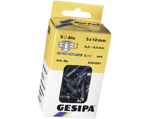 Packung Aluminium Blindnieten der Marke Gesipa, Mini-Pack, 5 mal 12 Millimeter