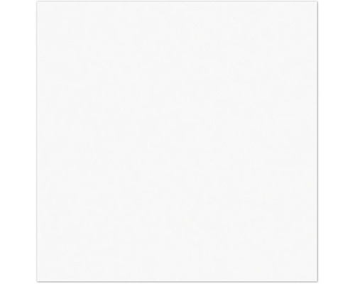 Weißer Hintergrund.