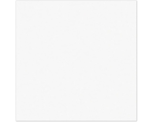Arrière-plan blanc.