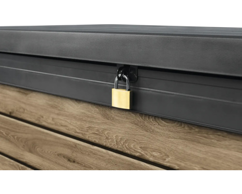 Detailansicht einer verschlossenen Aufbewahrungsbox mit Vorhängeschloss