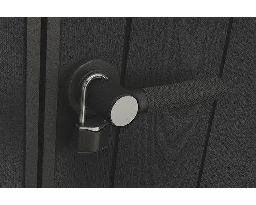 Tür mit Türgriff und Vorhängeschloss