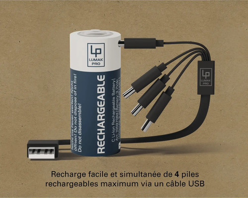 Batterie Lumak Pro avec câble de chargement USB pour quatre batteries