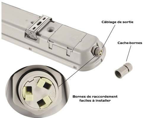 Vue détaillée d''un luminaire pour locaux humides avec sortie de câble, capuchon et bornes de connexion