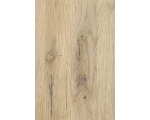 Holzstruktur aus Eiche