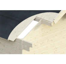 Abri de jardin SKAN HOLZ Tilburg avec plancher 613 x 420 cm naturel