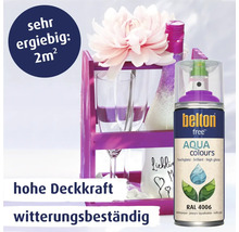 Belton Free Aqua Farbspraydose mit Dekoartikeln