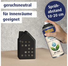 Helton Aqua Color Sprühlackdose und Deko-Haus für den Innenbereich