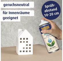Helton Farbspraydose mit dem Hinweis geruchsneutral und geeignet für Innenräume neben einem Deko Haus