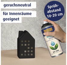 Helton Aqua Farbspraydose und Deko-Haus für den Innenbereich