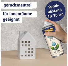 Dekohaus und Farbspraydose Helton Aqua Colours für Innenräume mit Sprühabstand 10 bis 20 Zentimeter
