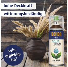 Belton Logo Farbspraydose in Schokoladenbraun mit Vase und Dekoration