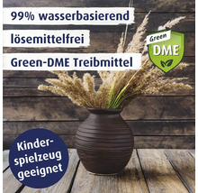 99 Prozent wasserbasierend, lösemittelfrei, Green-DME Treibmittel, geeignet für Kinderspielzeug