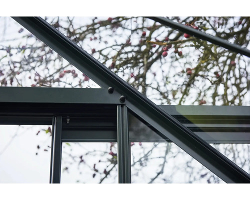 Detailansicht eines Gewächshausrahmens aus Metall und Glas