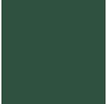 Peinture aérosol PU Maston RAL6005 vert mousse brillant 400 ml