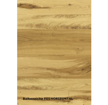 Balkeneiche F05 horizontal