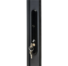 Abri de jardin Palmako Lea 14,2 m² porte coulissante verre de sécurité avec plancher 494 x 402 cm imprégné par immersion