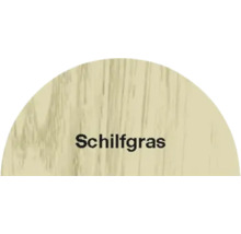 Schildgras