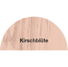 Kirschblüte Dekorelement