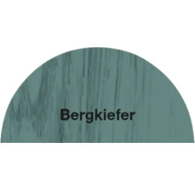 Bergkiefer Farbton
