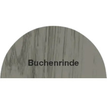 Buchenrinde