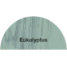 Eukalyptus