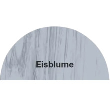 Eisblume Textur