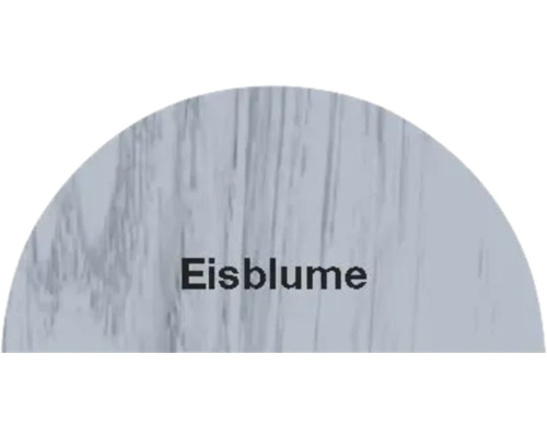 Eisblume Textur
