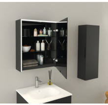 Jungborn Spiegelschrank QUATTRO SEDICI NOVE 60 x 20 x 70 cm schwarz matt 1-türig LED IP 44