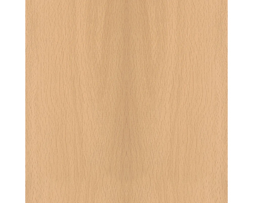 Structure en bois hêtre