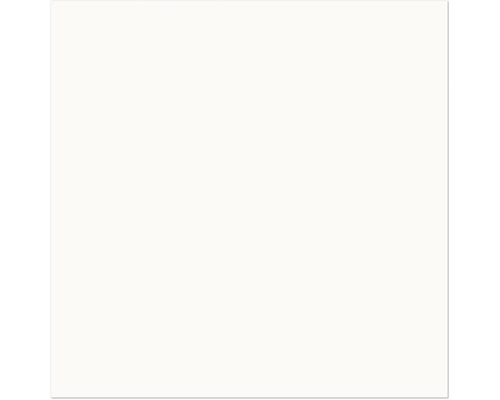 Arrière-plan blanc.