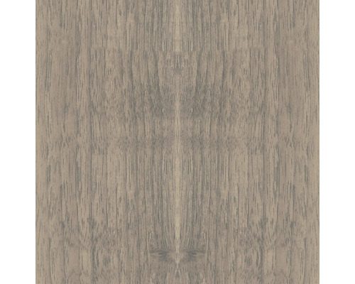 Texture de bois, gros plan