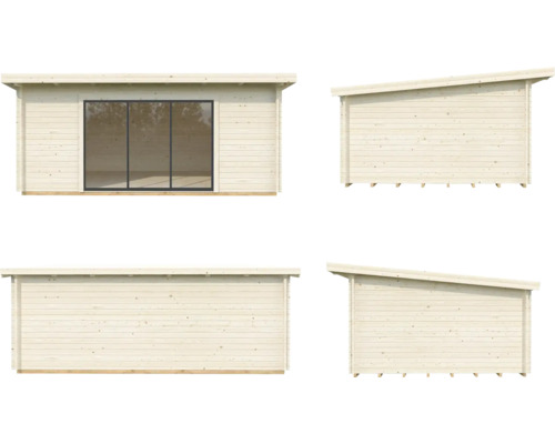 Vues d''un abri de jardin avec toit monopente et grande façade vitrée