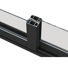 Abri de jardin Palmako Lea 19.4 m² porte coulissante verre de sécurité avec plancher 578 x 451 cm imprégné par immersion