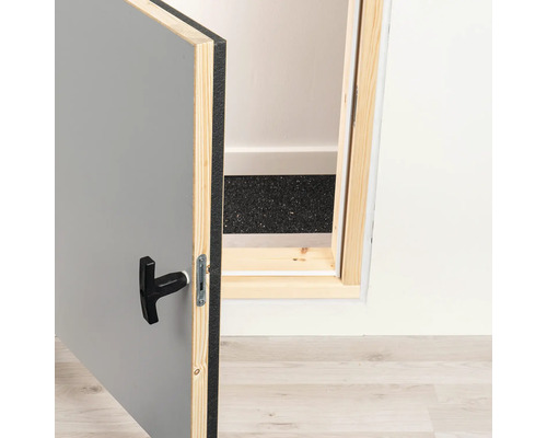 Geöffnete Revisionstür mit Drehriegelverschluss