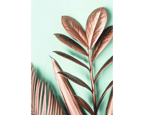 Dekorative Pflanzen mit metallisch wirkenden Blättern