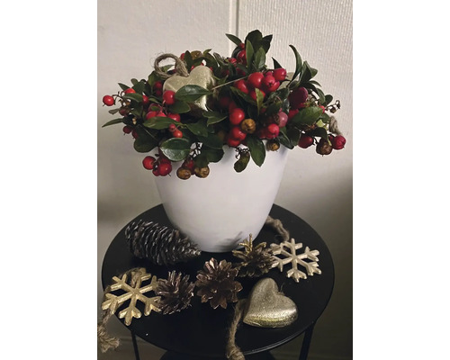 Dekoratives Gesteck mit roten Beeren und grünen Blättern in einem weißen Topf, verziert mit Tannenzapfen, Schneeflocken und Herzen auf einem Tisch.